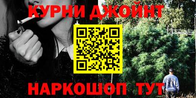 spice Заводоуковск