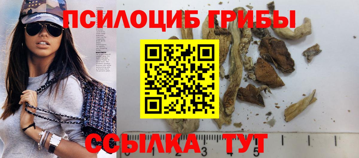 Псилоцибиновые грибы прущие грибы  Вход с VPN  Псилоцибиновые грибы мицелий  Заинск 